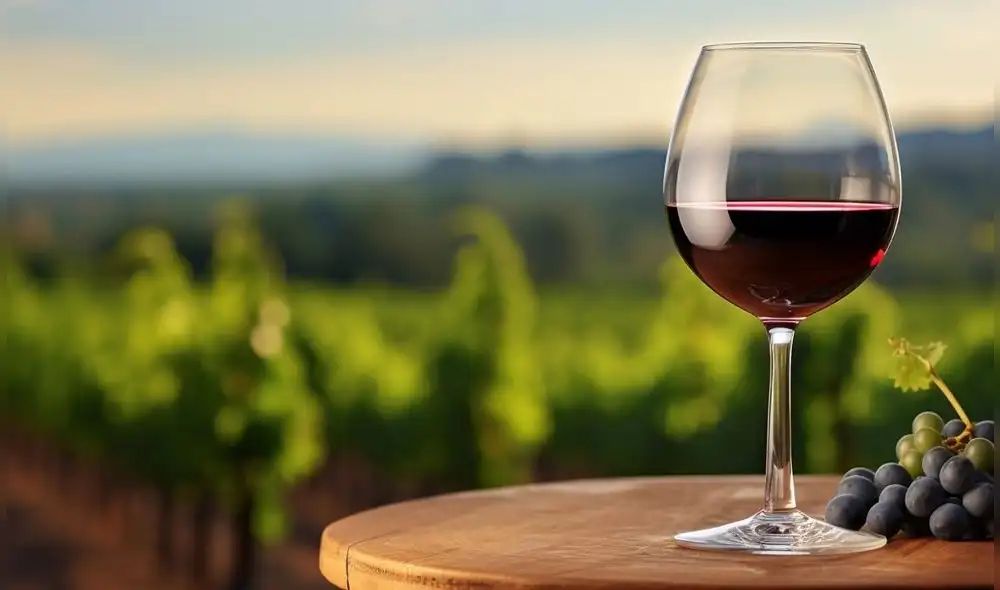 El vino de arándanos puede ser el próximo superalimento. Foto: Freepik