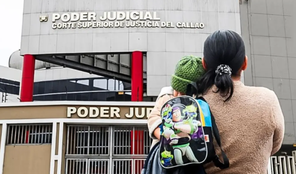Poder Judicial anuncia que se podrá retener dinero de las AFP de aquellos padres que cuenten con deuda alimentaria. Foto:  LR/El Peruano