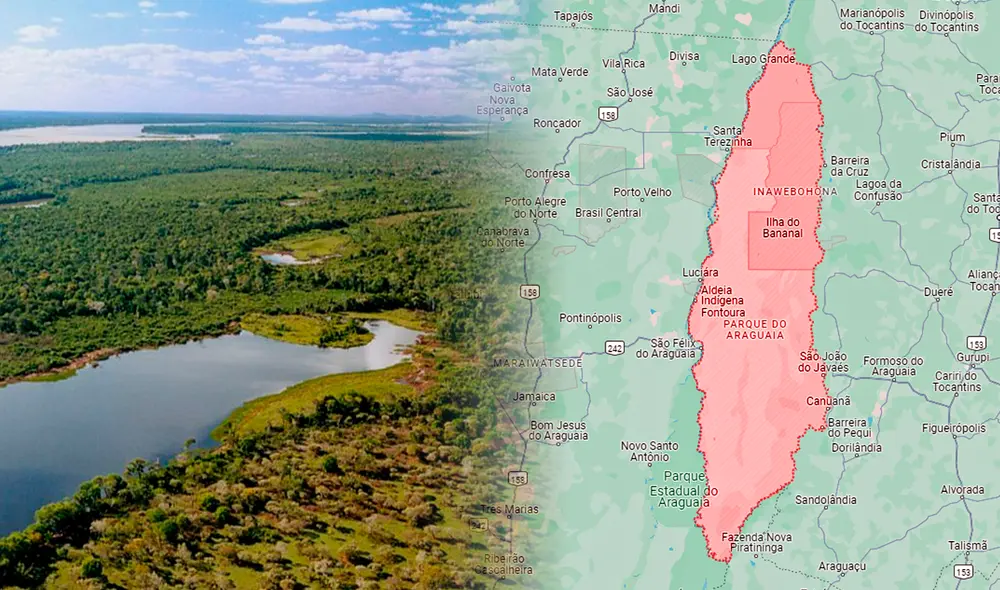 Además de su imponente extensión, esta isla se caracteriza por la enorme biodiversidad que alberga. Foto: composición LR (Maps / Billiken). Además de su imponente extensión, esta isla se caracteriza por la enorme biodiversidad que alberga. Foto: composición LR (Maps / Billiken).