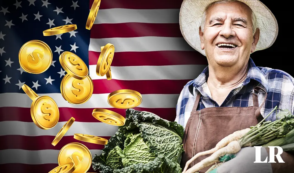 La identidad del agricultor se mantuvo en reserva. Foto: composición LR/Freepik