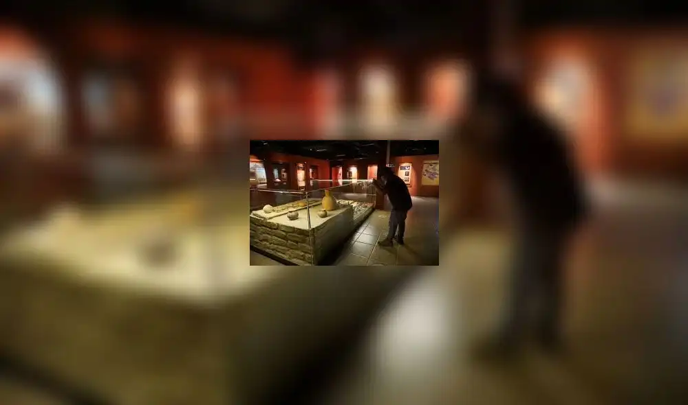 Ministra de Cultura informó sobre la decisión. Foto: Andina