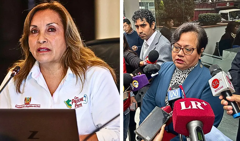 María Caruajulca informó que en la actualidad, sí existe la posibilidad de realizar pesquisas preliminares hacia un presidente en funciones. Foto: composición LR.