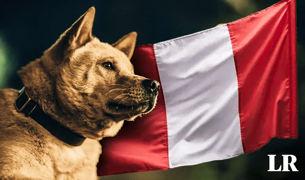 Previo a su llegada al Perú, ‘Hachiko 2’ recaudó hasta el momento 399.284 dólares a nivel mundial. Foto: composición LR/Fabrizio Oviedo/BF Distribution Previo a su llegada al Perú, ‘Hachiko 2’ recaudó hasta el momento 399.284 dólares a nivel mundial. Foto: composición LR/Fabrizio Oviedo/BF Distribution