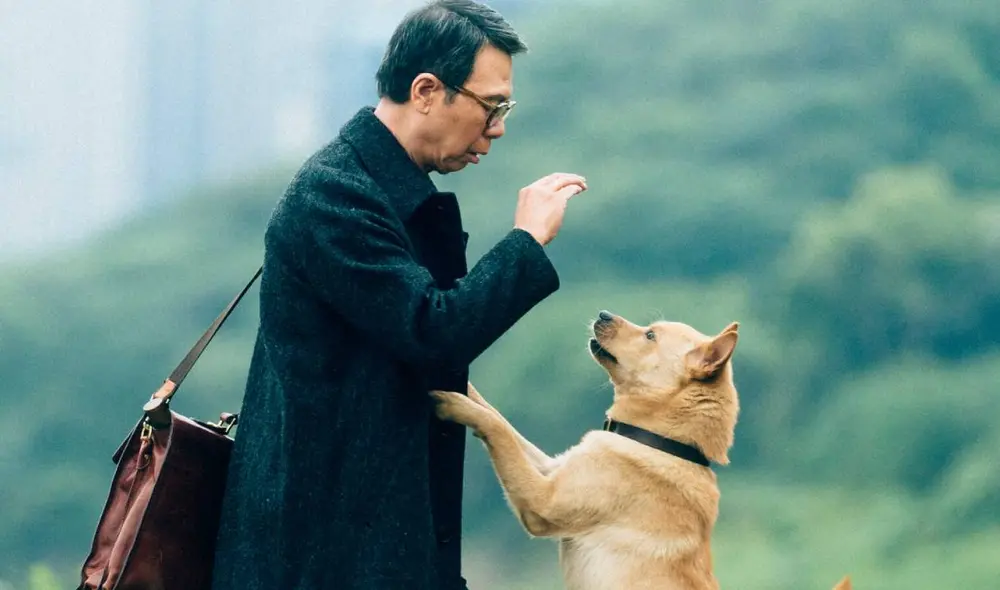 La historia de amor de un perro hacia su amo se volverá a ver en la pantalla grande en ‘Hachiko 2’. Foto: iQIYI Pictures La historia de amor de un perro hacia su amo se volverá a ver en la pantalla grande en ‘Hachiko 2’. Foto: iQIYI Pictures