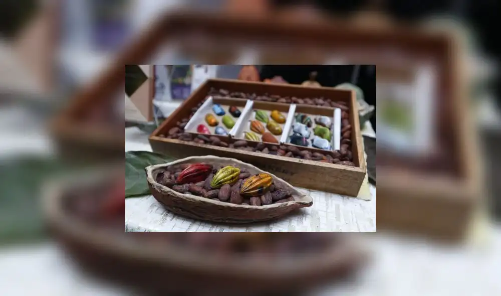 Exportaciones peruanas de cacao hacia Suiza se han triplicado en los últimos cinco años. Foto: Andina