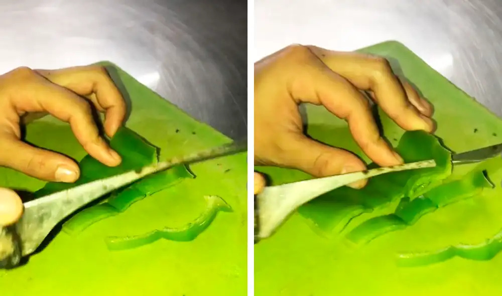 Las imágenes de TikTok superaron los 10 millones de reproducciones. Foto: composición LR/TikTok/@marelys.zelaya