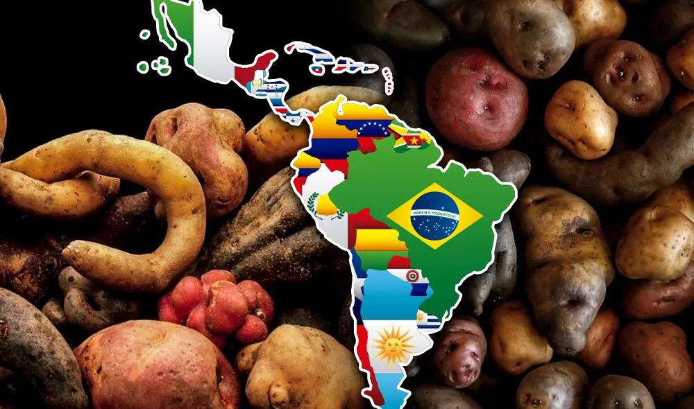 El Día Internacional de la Papa se celebrará por primera vez a nivel mundial. Foto: Jazmin Ceras/LR/Andina