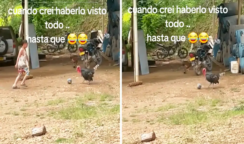 Las imágenes sacaron miles de sonrisas en redes sociales. Foto: composición LR/TikTok/@adrianitasanchez669 Las imágenes sacaron miles de sonrisas en redes sociales. Foto: composición LR/TikTok/@adrianitasanchez669