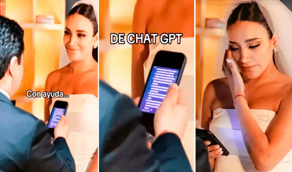 Las imágenes sacaron más de una sonrisa a los usuarios en redes sociales. Foto: composición LR/TikTok/@paolam.dehoyos