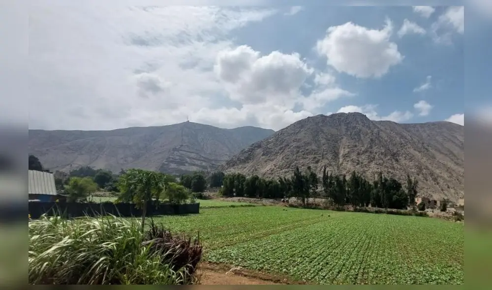 Valles de Lima. El número de trabajadores del agro en Lima Metropolitana hoy representa menos del 1% de su PEA ocupada. Foto: difusión