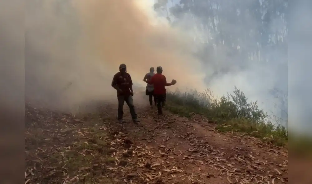 Temporada de Incendios en la sierra y selva del Perú culminará en noviembre. Foto: Andina