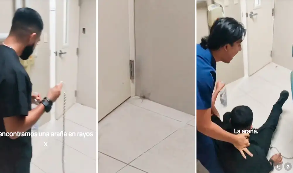 Las imágenes sacaron más de un millón de sonrisas en redes sociales. Foto: composición LR/TikTok/@bryanzaxl Las imágenes sacaron más de un millón de sonrisas en redes sociales. Foto: composición LR/TikTok/@bryanzaxl