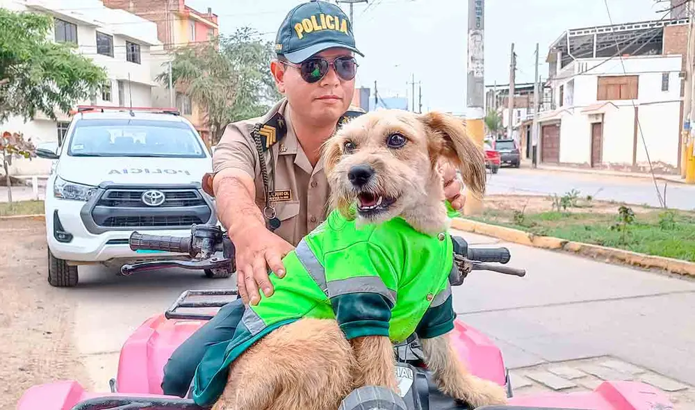 'Barba', el perro policía conquistó el cariño de los oficiales, quienes se encargaron de su cuidado y alimentación. Foto: Emmanuel Moreno 'Barba', el perro policía conquistó el cariño de los oficiales, quienes se encargaron de su cuidado y alimentación. Foto: Emmanuel Moreno