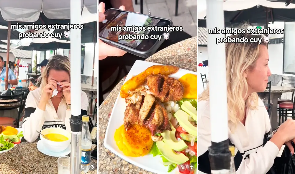 Las imágenes generaron una ola de comentarios en redes sociales. Foto: composición LR/TikTok/@karinatokha