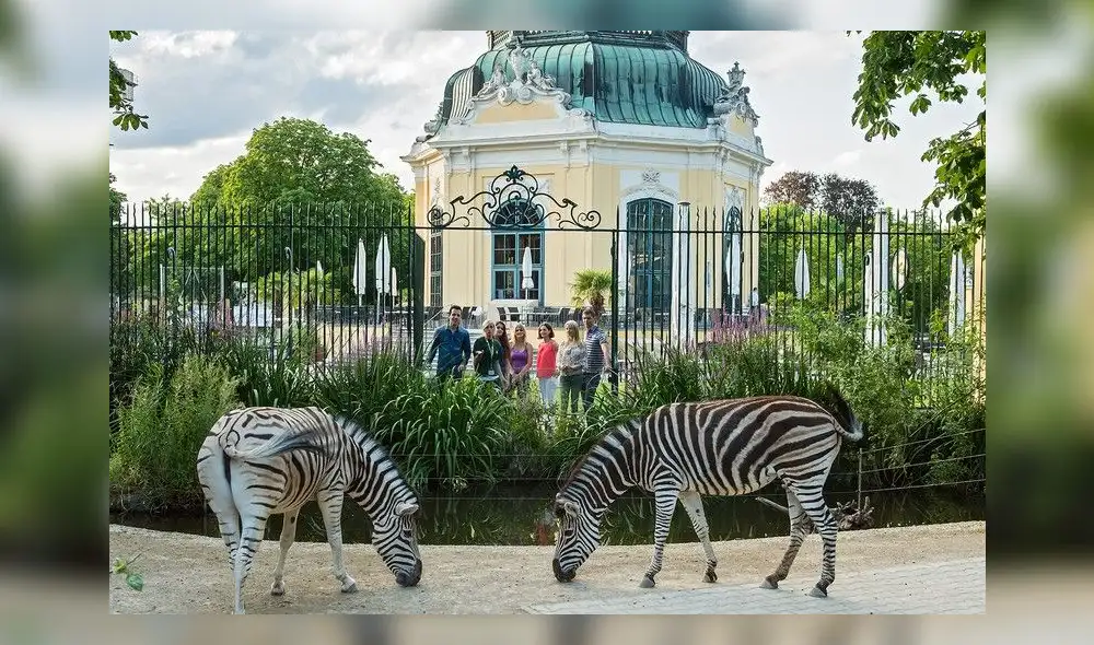 Este zoológico se encuentra en Austria. Foto: Daniel Zupanc