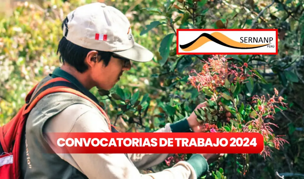 Recuerda que la postulación es de manera virtual. Foto: composición LR/Sernanp Recuerda que la postulación es de manera virtual. Foto: composición LR/Sernanp