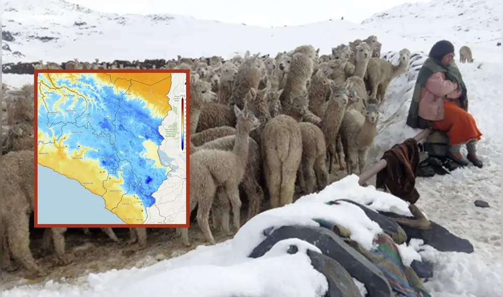 Heladas afectan a diversas regiones del Perú, de acuerdo a Senamhi. Foto: composición LR/Andina Heladas afectan a diversas regiones del Perú, de acuerdo a Senamhi. Foto: composición LR/Andina