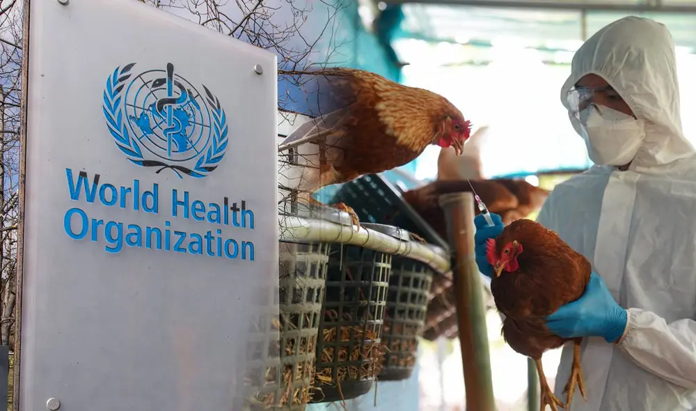 Según el comunicado de la OMS, la sintomatología del paciente de 59 años fue detectada el 23 de mayo, por lo que tuvo que ser hospitalizado en la Ciudad de México. Foto: composición LR/OMS/Andina