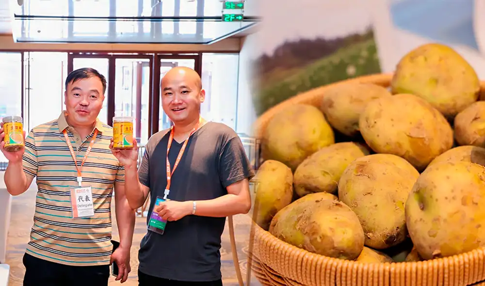 China fue uno de los países que apoyaron la iniciativa del Perú de conmemorar un Día Internacional de la Papa. Foto: Composición LR/CIP/FAO