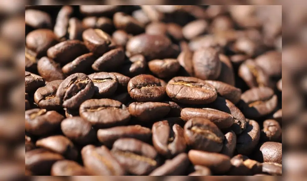 Los precios del café y el cacao han experimentado picos históricos este año. Solo el segundo llegó a cotizarse en más de US$10.000 por tonelada. Foto: Mincetur Los precios del café y el cacao han experimentado picos históricos este año. Solo el segundo llegó a cotizarse en más de US$10.000 por tonelada. Foto: Mincetur
