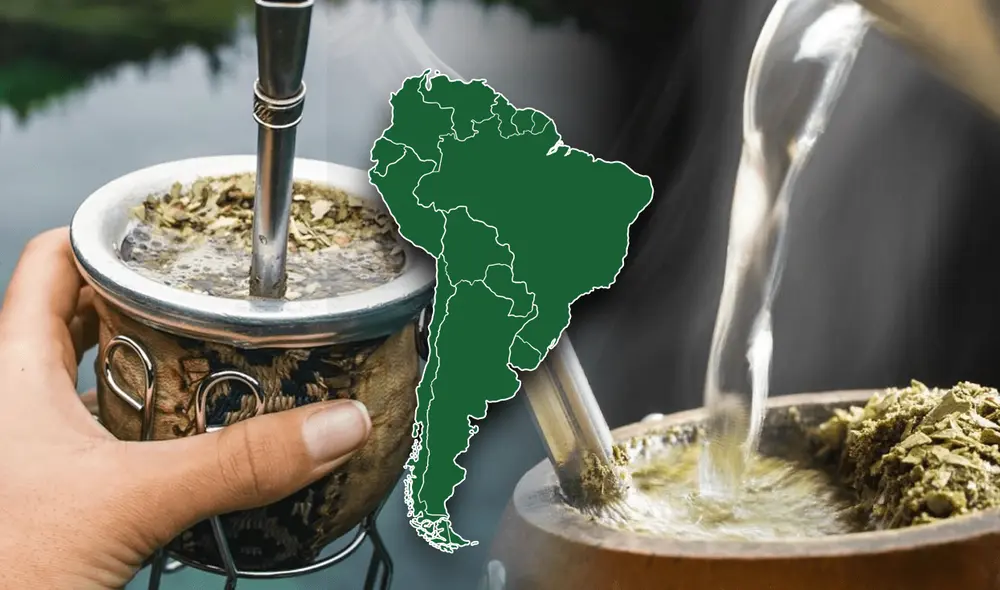En Argentina, se consume un promedio de 6,4 kg de yerba mate por habitante al año, y está presente en más del 90% de los hogares. Foto: composición de Fabrizio Oviedo/LR/Freepik.