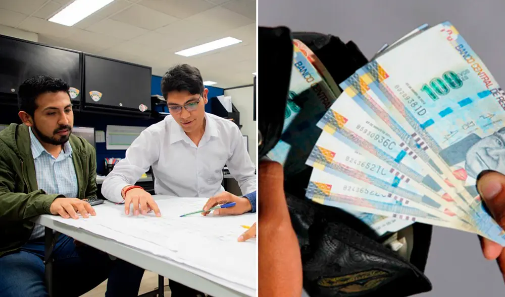 El salario mínimo de estas carreras profesionales se asemeja a la remuneración mínima vital. Foto: composición (Andina).