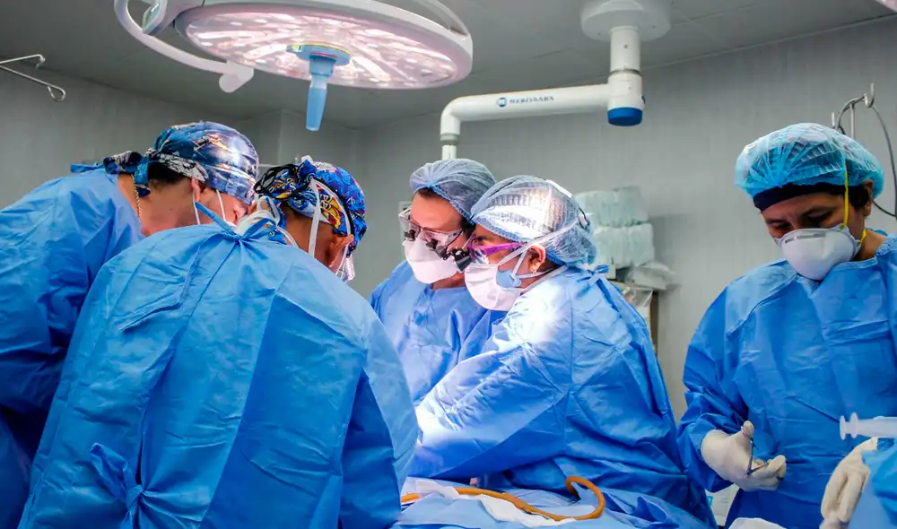 Menor presentaría los síndromes de tricotilomanía y tricofagia. Foto: Andina Menor presentaría los síndromes de tricotilomanía y tricofagia. Foto: Andina