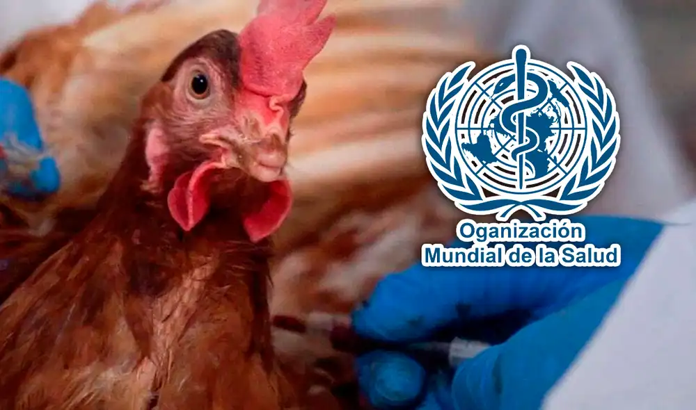 OMS aclara que la muerte del paciente no fue directamente atribuible al virus. Foto: composición Jazmín Ceras LR / OMS / AFP OMS aclara que la muerte del paciente no fue directamente atribuible al virus. Foto: composición Jazmín Ceras LR / OMS / AFP