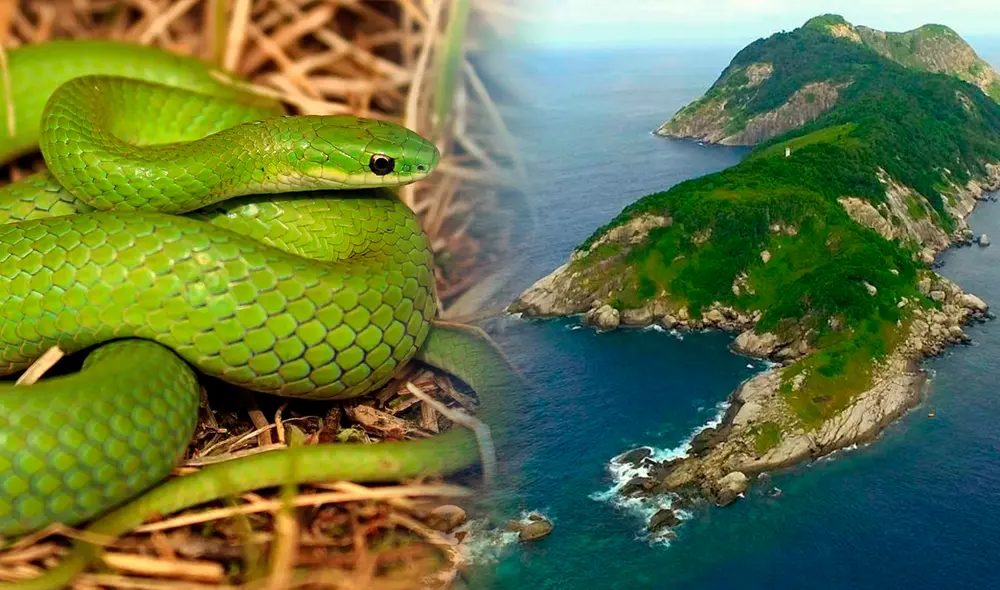 Algunos lugares en el mundo que no son aptos para las visitas turísticas debido a diversas razones, incluyendo seguridad, preservación de secretos históricos o culturales, y protección de las comunidades locales. Foto: composición LR/Freepik Algunos lugares en el mundo que no son aptos para las visitas turísticas debido a diversas razones, incluyendo seguridad, preservación de secretos históricos o culturales, y protección de las comunidades locales. Foto: composición LR/Freepik