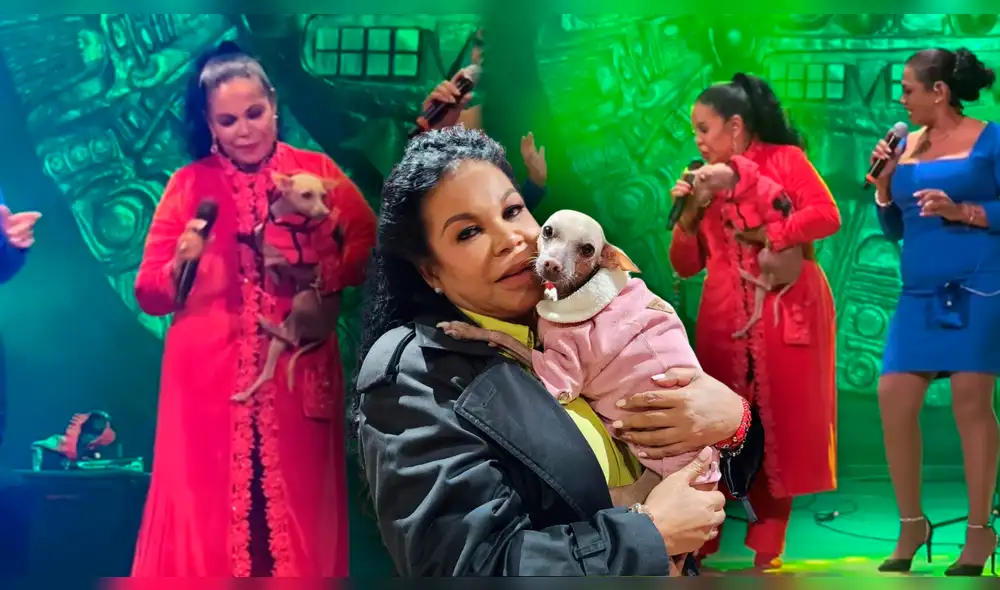 Eva Ayllón aprovechó el escenario para subir a Thomasa, su perrita. Foto: composición LR/Instagram Eva Ayllón