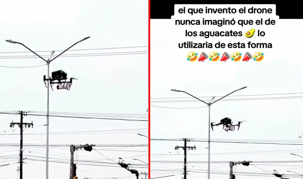 El video ha logrado acaparar casi un millón de reproducciones en redes sociales. Foto: composición LR/TikTok/@pachardito_cali El video ha logrado acaparar casi un millón de reproducciones en redes sociales. Foto: composición LR/TikTok/@pachardito_cali