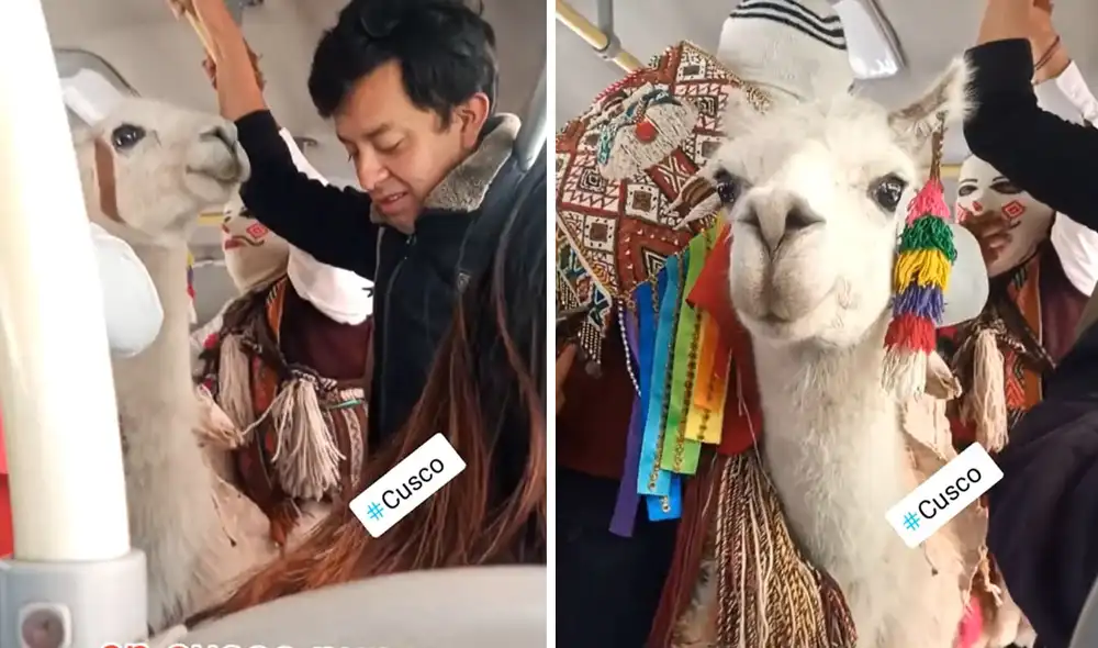 "En Cusco nunca te aburres", comentaron usuarios. Foto: composición LR/ TikTok