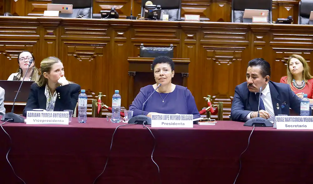 Voluntad. Se redujo a 63 submaterias el proyecto enviado por el régimen de Boluarte. Esta semana se negociarán ajustes. Foto: difusión Voluntad. Se redujo a 63 submaterias el proyecto enviado por el régimen de Boluarte. Esta semana se negociarán ajustes. Foto: difusión