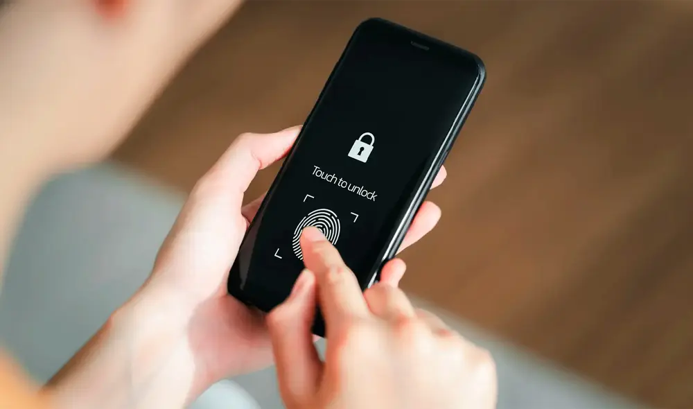 Se trata de uno de los elementos más populares. Foto: Composición LR / Sexta