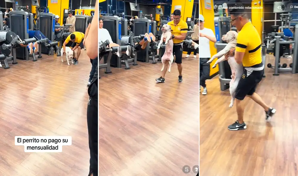 Las imágenes sacaron más de una sonrisa en redes sociales. Foto: composición LR/TikTok/@mauriciowaldorf