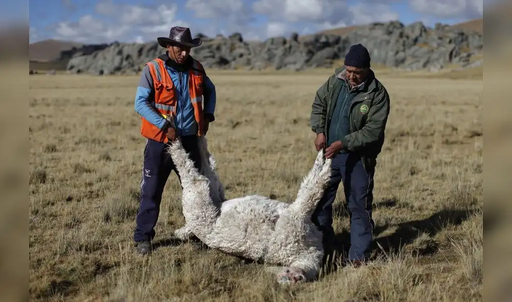 Presencia de La Niña tiene efectos en la agricultura y ganadería debido a la escasez de lluvias en la zona sur. Crédito: La República Presencia de La Niña tiene efectos en la agricultura y ganadería debido a la escasez de lluvias en la zona sur. Crédito: La República