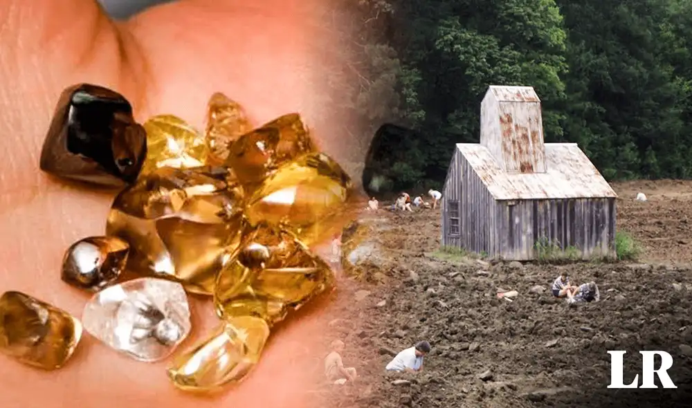 Se convirtió en noticia por un hecho particular que protagonizó; su caso ha vuelto a viralizarse en los últimos días. Foto: composición de Fabrizio Oviedo/LR/Freepik.