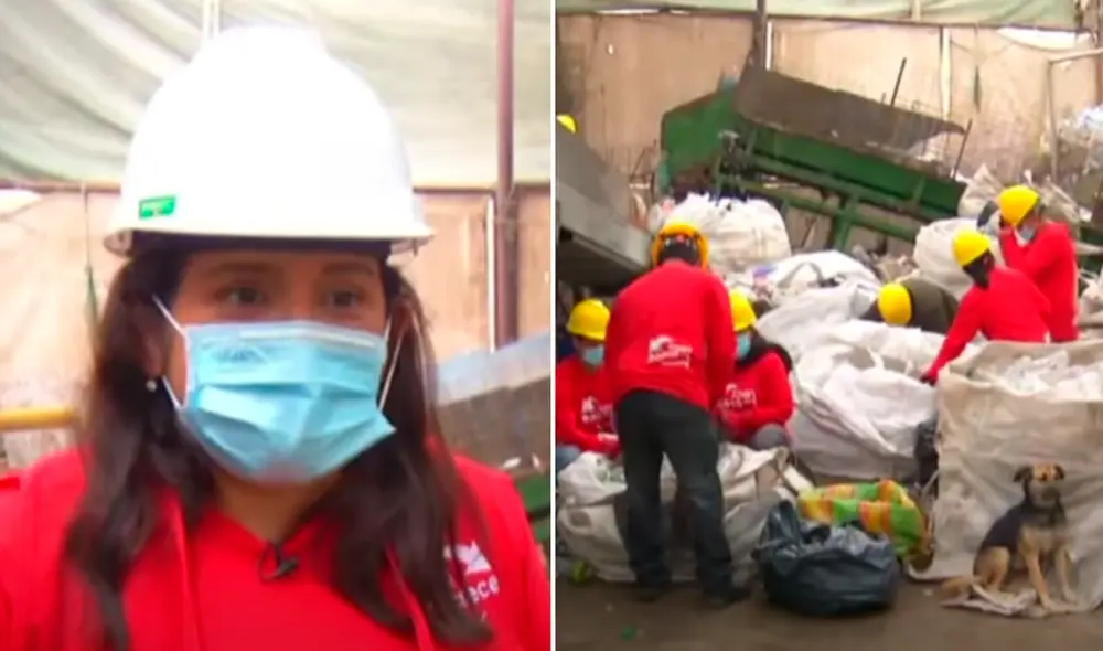 La empresa fundada por Carmen Mateo es fuente de empleo para al menos 15 personas. Foto: captura (TV Perú).