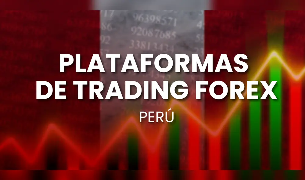 Foto: Mejores plataformas en 2024.