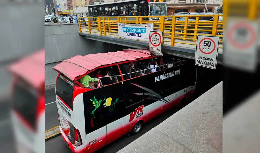 Modelos iban a participar en el concurso Miss Teen Universal. Foto: composición LR