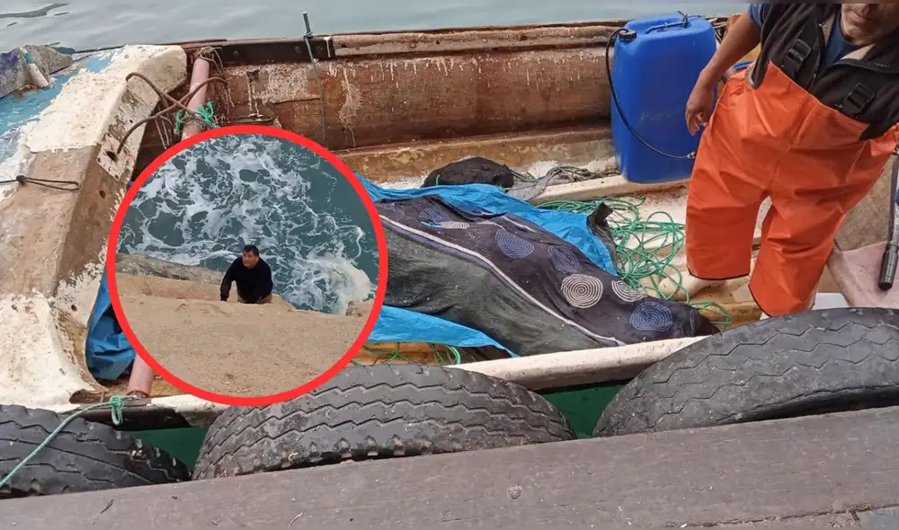 Padre de fallecido logró salir a tierra tras naufragio. Foto: Leonila Aquino - La República
