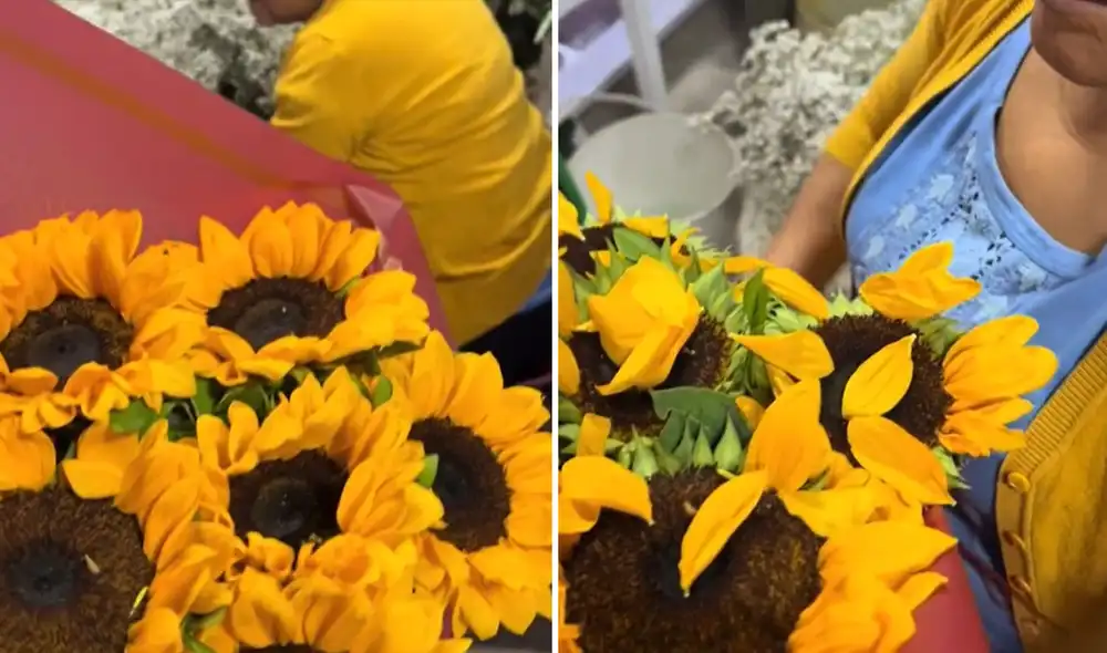 "Fría de frías", comentaron usuarios.  Foto: composición LR/ captura de TikTok - Video: TikTok