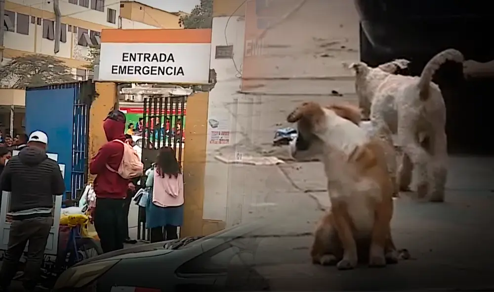 Embarazada corre el riesgo de perder a su bebé tras golpe. Foto: Composición LR/Captura América Noticias Embarazada corre el riesgo de perder a su bebé tras golpe. Foto: Composición LR/Captura América Noticias