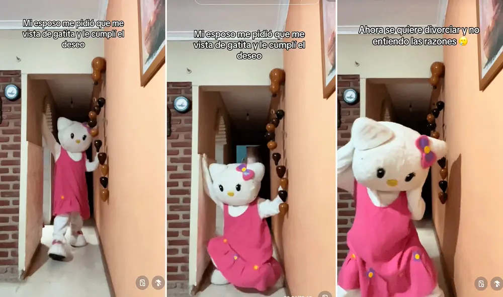 Las imágenes sacaron millones de sonrisas a los usuarios en redes sociales. Foto: composición LR/TikTok