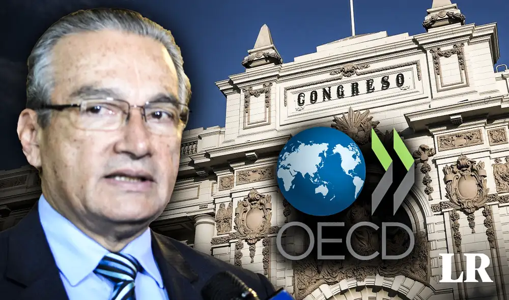 Sociedad Civil alerta a la OCDE propuesta del Legislativo que amenaza la defensa de los derechos humanos. Foto: composición Fabrizio Oviedo/ LR