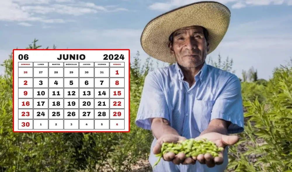 El Día del Campesino se celebra cada 24 de junio para homenajear la labor de los hombre y mujeres que trabajan en el campo. Foto: composición LR/Andina