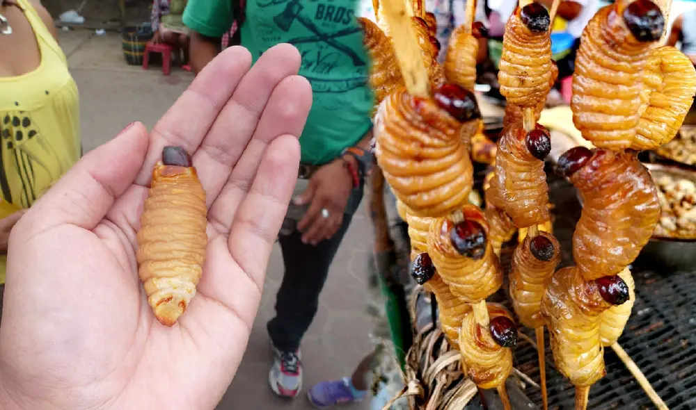 El suri es considerado como uno de los alimentos alto en proteínas. Foto: composición LR / Aderra Travel