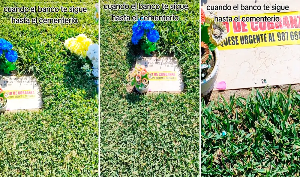 Las imágenes sacaron miles de sonrisas en redes sociales. Foto: composición LR/TikTok