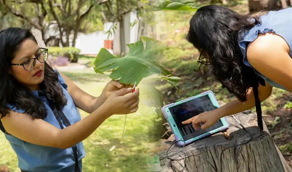 Laura Xóchitl Cruz descubrió por sí misma que las plantas pueden producir sonidos artísticos. Foto: composiciónLR/JazminCeras/EFE