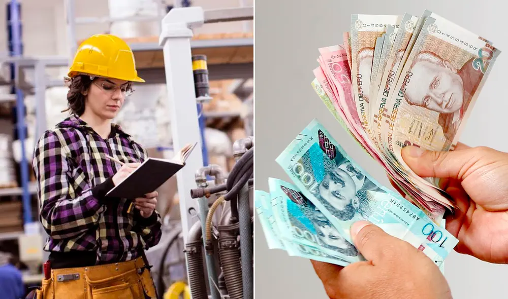 La Inteligencia Artificial (IA) reveló cuáles serán las carreras con menor remuneración en cinco años. Foto: composición LR (Andina/Unitec).